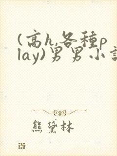 (高h,各种play)男男小说