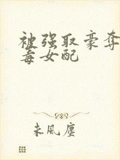 被强取豪夺的恶毒女配