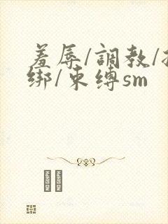 羞辱/调教/捆绑/束缚sm