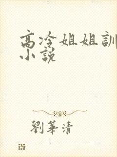 高冷姐姐训诫文小说封面