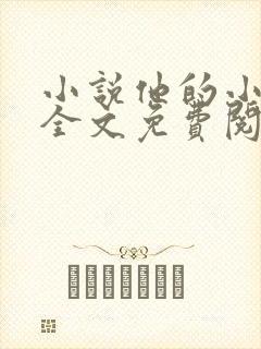 小说他的小仙女全文免费阅读