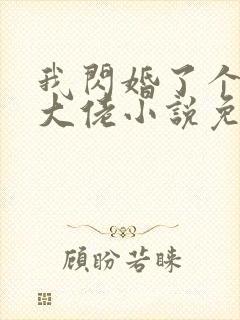 我闪婚了个财阀大佬小说免费阅读