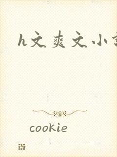 h文爽文小说