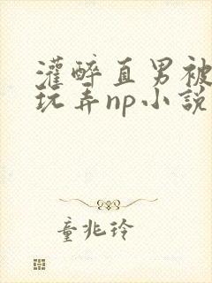 灌醉直男被下药玩弄np小说