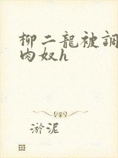 柳二龙被调教成肉奴h