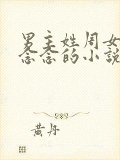 男主姓周女主叫念念的小说