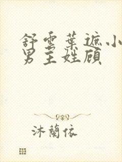 舒云叶遮小说,男主姓顾