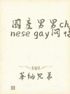 国产男男chinese gay网站
