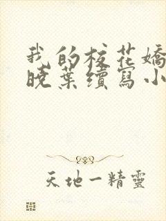 我的校花娇妻秦晓叶续写小说封面