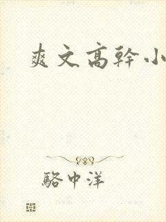 爽文高干小说封面