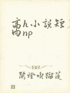高h小说短篇纯肉np