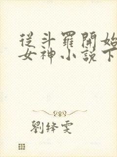 从斗罗开始俘获女神小说下装电子书