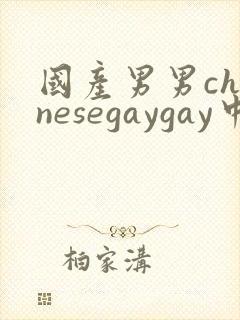国产男男chinesegaygay中国帅哥网站封面