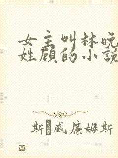 女主叫林晚男主姓顾的小说