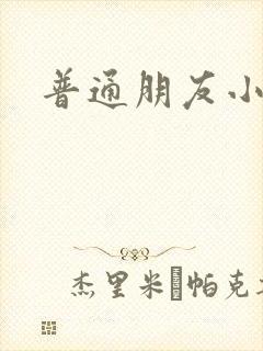 普通朋友小说