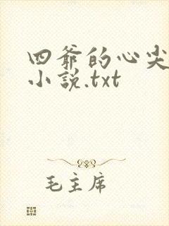 四爷的心尖宠妃小说.txt封面