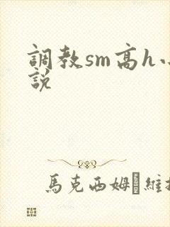 调教sm高h小说