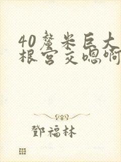 40厘米巨大整根宫交嗯啊封面
