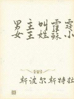 男主叫霍霆琛的女主姓苏小说