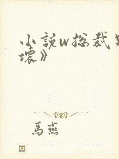 小说w总裁别太坏》