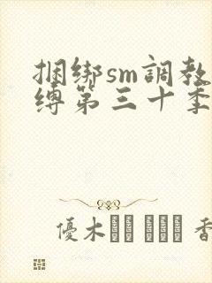 捆绑sm调教束缚第三十季