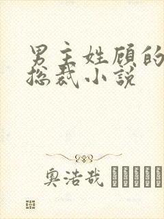 男主姓顾的现代总裁小说