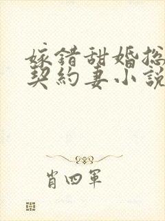 嫁错甜婚总裁的契约妻小说