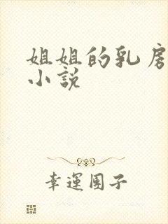 姐姐的乳房都市小说