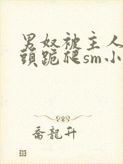 男奴被主人拽奶头跪爬sm小说