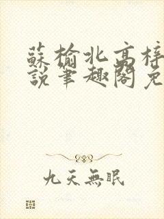 苏榆北高梓淇小说笔趣阁免费阅读封面