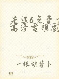 老婆6免费完整高清电视剧看