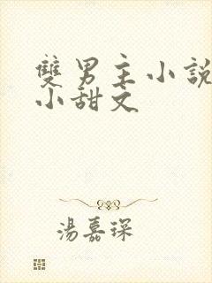 双男主小说推荐小甜文