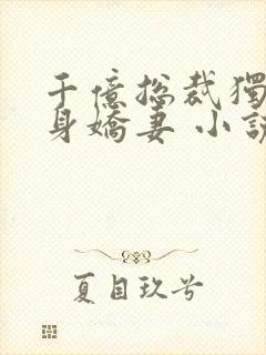 千亿总裁独宠替身娇妻 小说完整封面