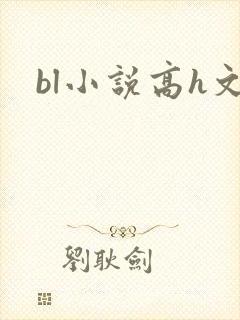bl小说高h文