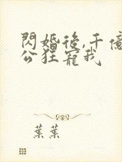 闪婚后,千亿老公狂宠我