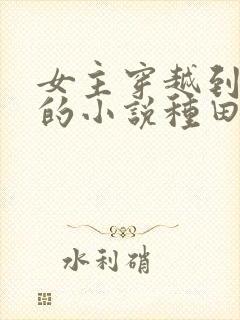 女主穿越到古代的小说种田文