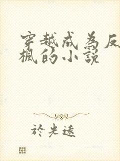 穿越成为反派叶枫的小说