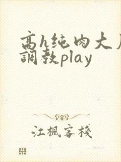 高h纯肉大尺度调教play