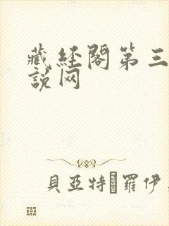 藏经阁第三版小说网