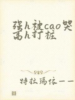 强h被cao哭高h打桩封面