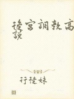 后宫调教高h小说