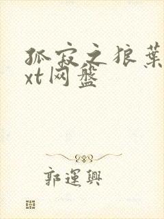 孤寂之狼叶凡txt网盘