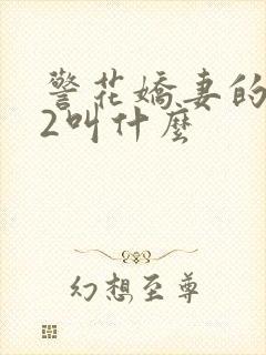 警花娇妻的蜕变2叫什么