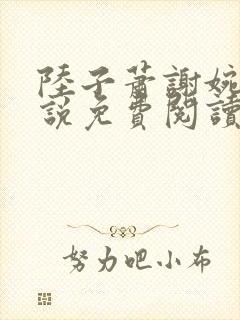 陆子萧谢婉婉小说免费阅读最新章节