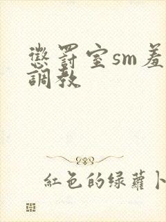 惩罚室sm羞刑调教