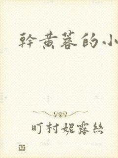 干黄蓉的小说封面