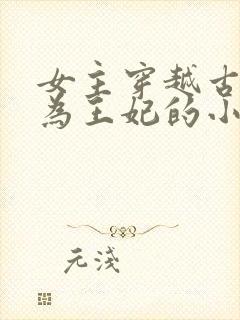 女主穿越古代成为王妃的小说