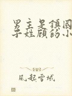 男主是镇国公世子姓顾的小说封面