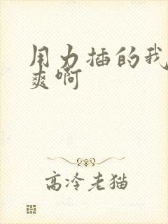 用力插的我,好爽啊