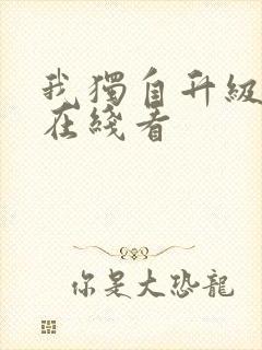 我独自升级动漫在线看封面